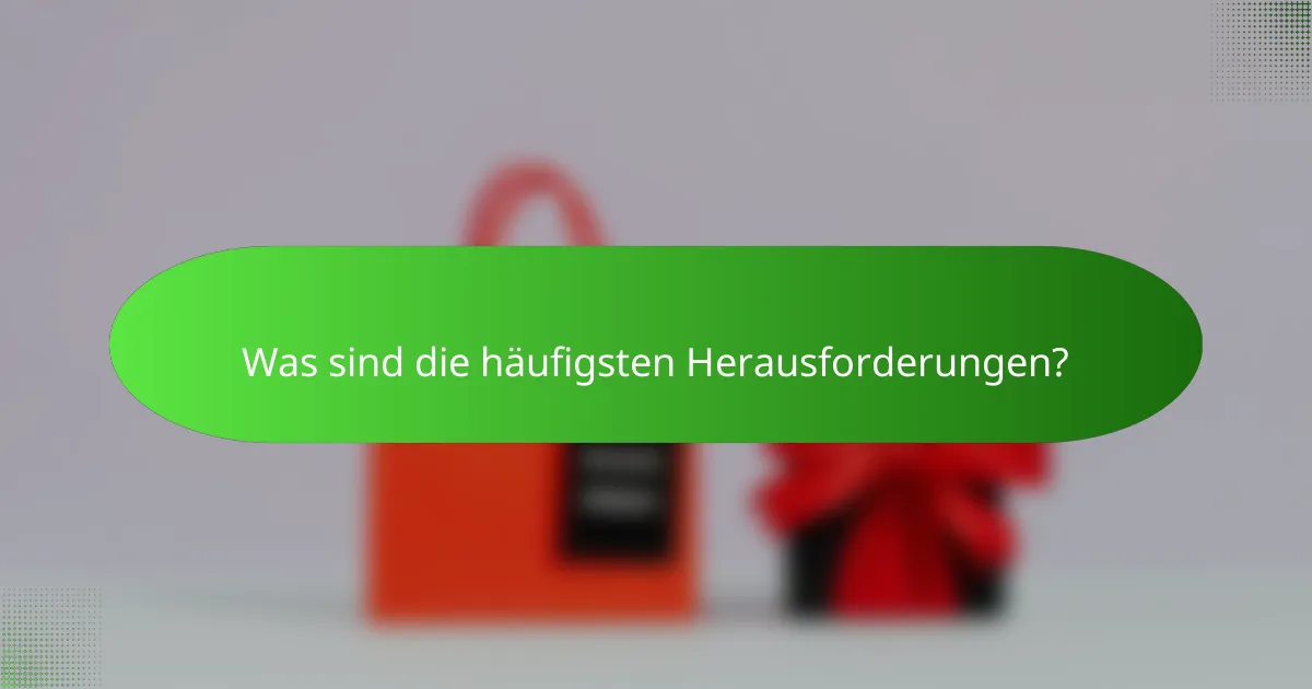 Was sind die häufigsten Herausforderungen?