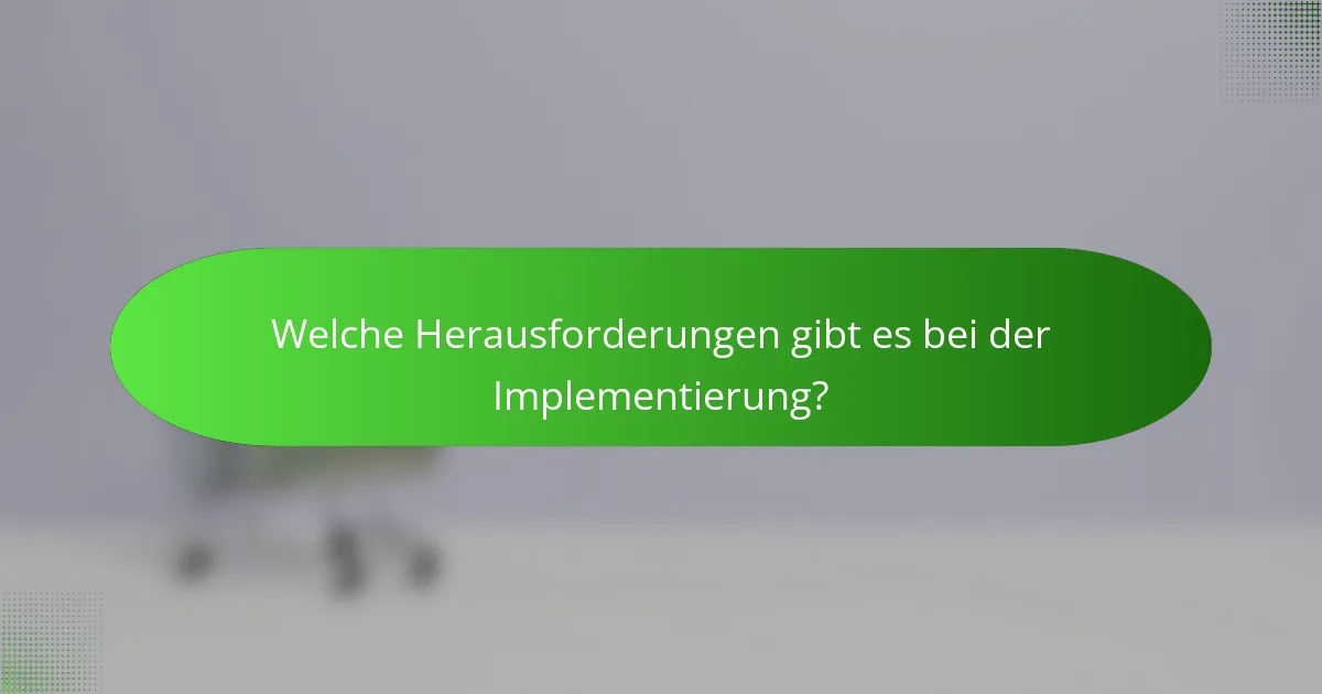 Welche Herausforderungen gibt es bei der Implementierung?