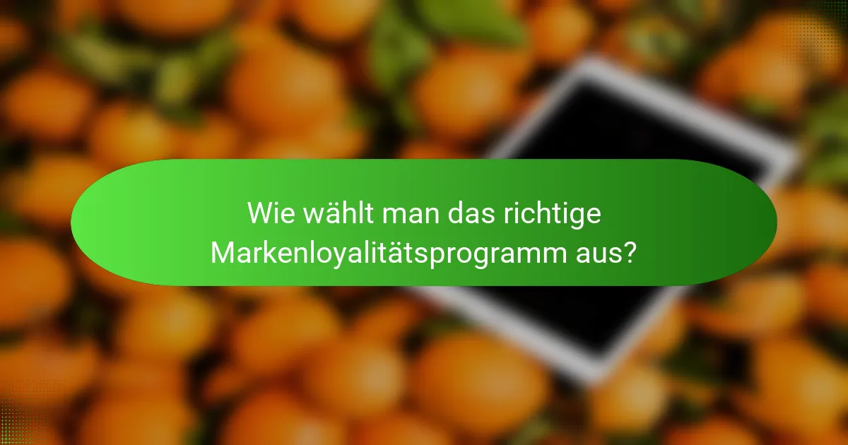Wie wählt man das richtige Markenloyalitätsprogramm aus?